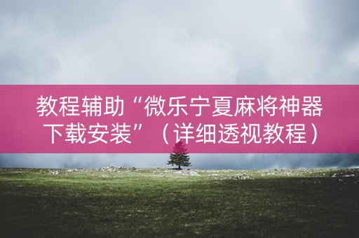 教程辅助“微乐宁夏麻将神器下载安装”（详细透视教程）-哔哩哔哩