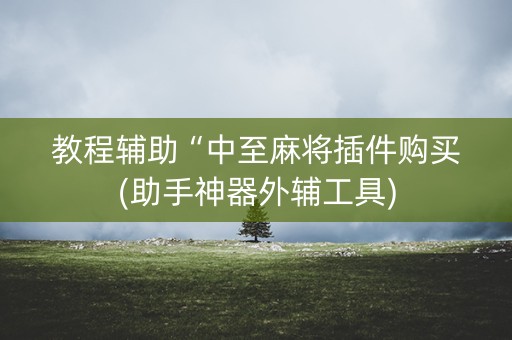教程辅助“中至麻将插件购买(助手神器外辅工具)