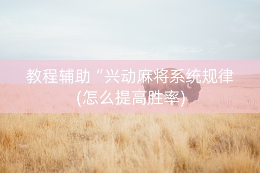 教程辅助“兴动麻将系统规律(怎么提高胜率)