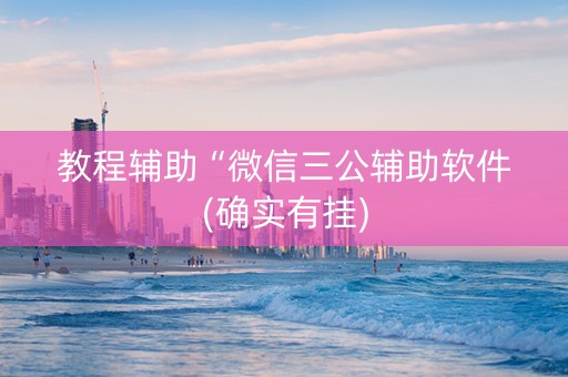教程辅助“微信三公辅助软件(确实有挂)