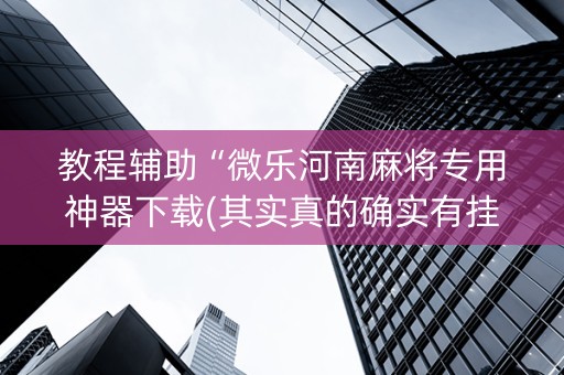 教程辅助“微乐河南麻将专用神器下载(其实真的确实有挂)