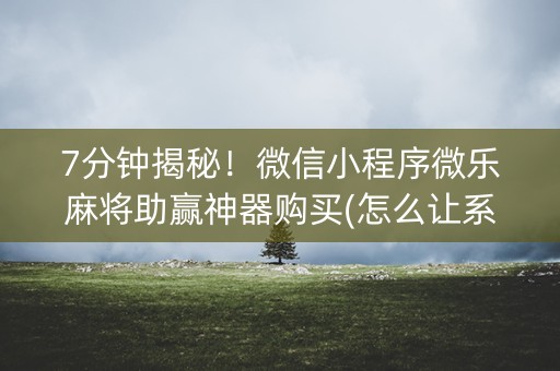 7分钟揭秘！微信小程序微乐麻将助赢神器购买(怎么让系统给发好牌)