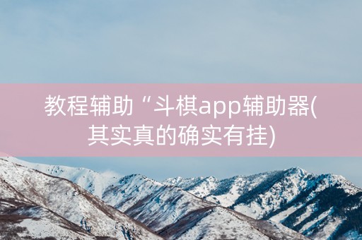 教程辅助“斗棋app辅助器(其实真的确实有挂)