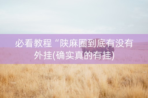 必看教程“陕麻圈到底有没有外挂(确实真的有挂)