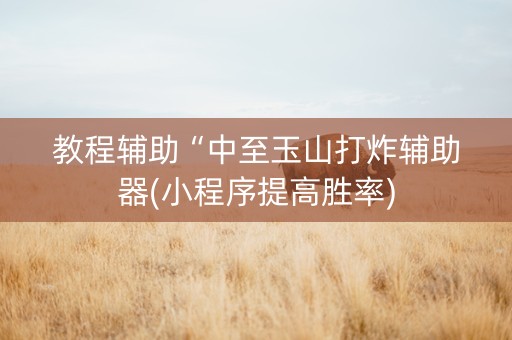 教程辅助“中至玉山打炸辅助器(小程序提高胜率)