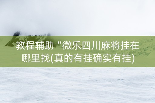 教程辅助“微乐四川麻将挂在哪里找(真的有挂确实有挂)