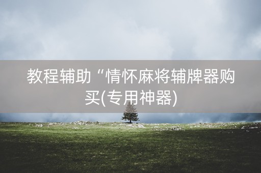 教程辅助“情怀麻将辅牌器购买(专用神器)