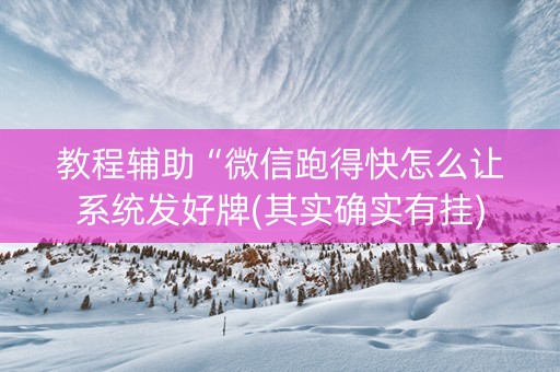 教程辅助“微信跑得快怎么让系统发好牌(其实确实有挂)