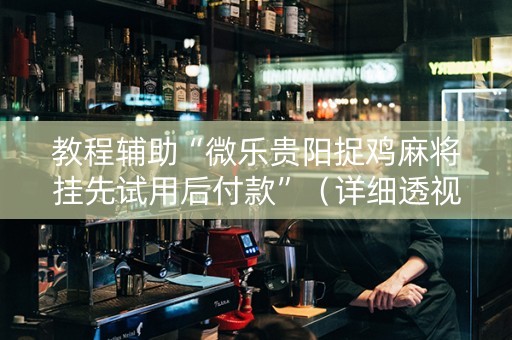 教程辅助“微乐贵阳捉鸡麻将挂先试用后付款”（详细透视教程）-哔哩哔哩