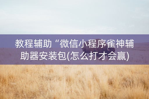 教程辅助“微信小程序雀神辅助器安装包(怎么打才会赢)