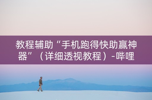 教程辅助“手机跑得快助赢神器”（详细透视教程）-哔哩哔哩