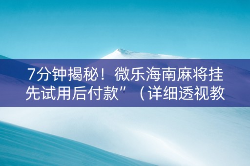 7分钟揭秘！微乐海南麻将挂先试用后付款”（详细透视教程）-哔哩哔哩