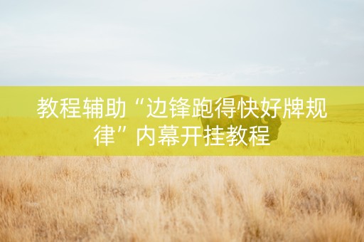 教程辅助“边锋跑得快好牌规律”内幕开挂教程