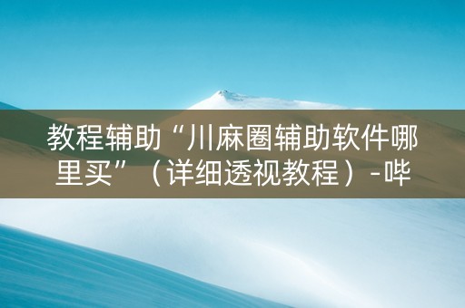 教程辅助“川麻圈辅助软件哪里买”（详细透视教程）-哔哩哔哩