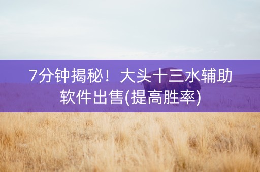 7分钟揭秘！大头十三水辅助软件出售(提高胜率)
