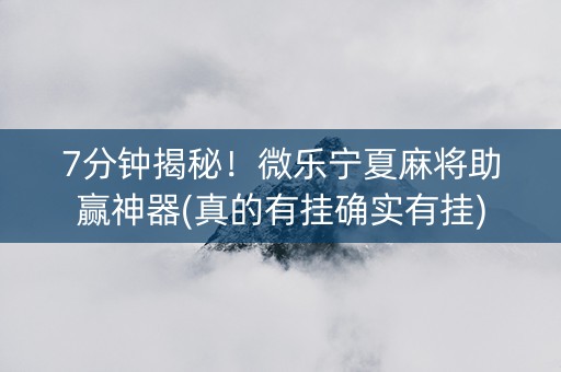 7分钟揭秘！微乐宁夏麻将助赢神器(真的有挂确实有挂)