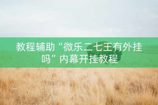 教程辅助“微乐二七王有外挂吗”内幕开挂教程