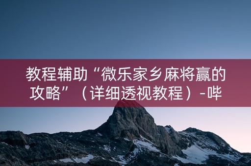 教程辅助“微乐家乡麻将赢的攻略”（详细透视教程）-哔哩哔哩