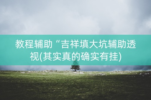 教程辅助“吉祥填大坑辅助透视(其实真的确实有挂)