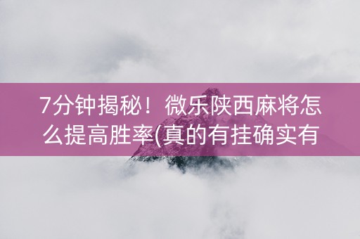 7分钟揭秘！微乐陕西麻将怎么提高胜率(真的有挂确实有挂)