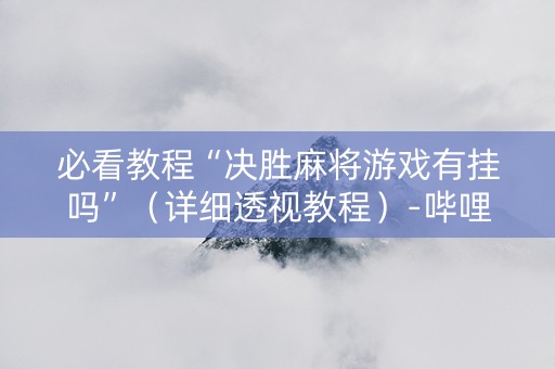 必看教程“决胜麻将游戏有挂吗”（详细透视教程）-哔哩哔哩
