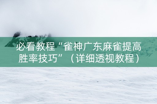 必看教程“雀神广东麻雀提高胜率技巧”（详细透视教程）-哔哩哔哩