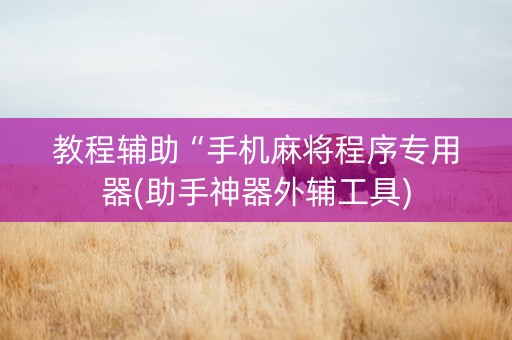 教程辅助“手机麻将程序专用器(助手神器外辅工具)