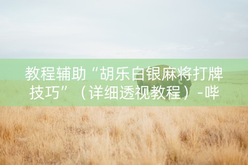 教程辅助“胡乐白银麻将打牌技巧”（详细透视教程）-哔哩哔哩