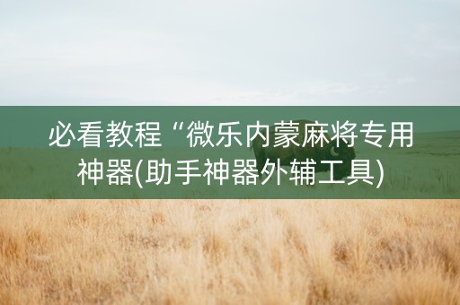 必看教程“微乐内蒙麻将专用神器(助手神器外辅工具)