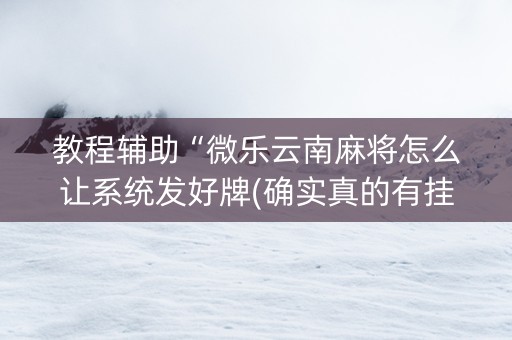 教程辅助“微乐云南麻将怎么让系统发好牌(确实真的有挂)