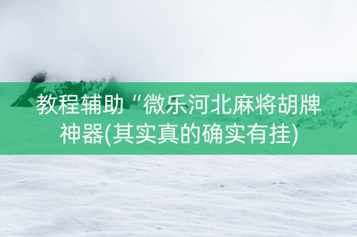 教程辅助“微乐河北麻将胡牌神器(其实真的确实有挂)