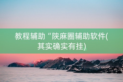 教程辅助“陕麻圈辅助软件(其实确实有挂)