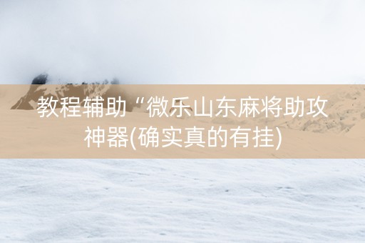 教程辅助“微乐山东麻将助攻神器(确实真的有挂)