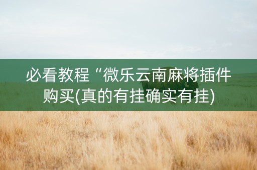 必看教程“微乐云南麻将插件购买(真的有挂确实有挂)