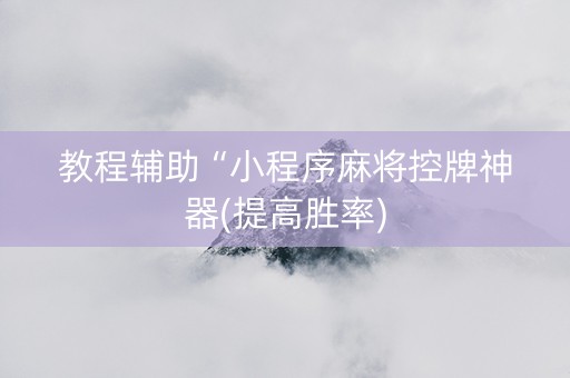 教程辅助“小程序麻将控牌神器(提高胜率)