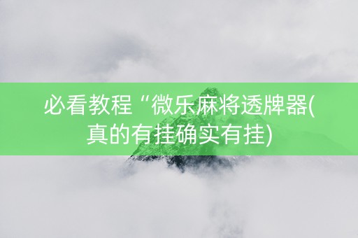 必看教程“微乐麻将透牌器(真的有挂确实有挂)