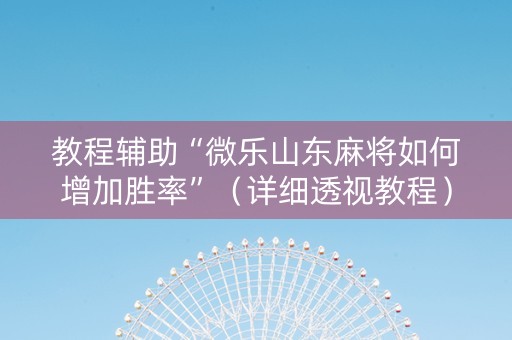 教程辅助“微乐山东麻将如何增加胜率”（详细透视教程）-哔哩哔哩