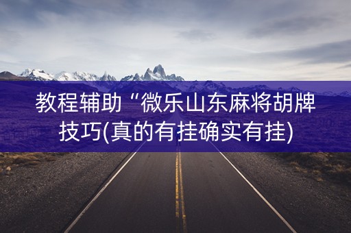 教程辅助“微乐山东麻将胡牌技巧(真的有挂确实有挂)