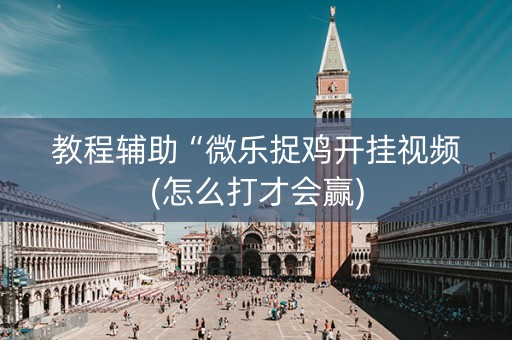 教程辅助“微乐捉鸡开挂视频(怎么打才会赢)