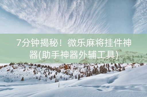 7分钟揭秘！微乐麻将挂件神器(助手神器外辅工具)