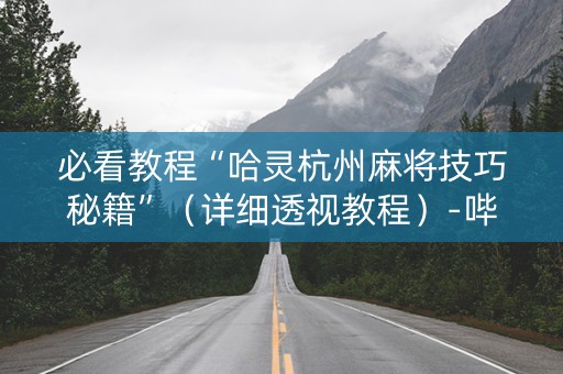 必看教程“哈灵杭州麻将技巧秘籍”（详细透视教程）-哔哩哔哩
