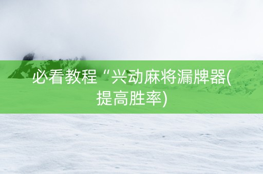 必看教程“兴动麻将漏牌器(提高胜率)