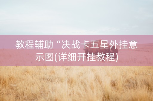 教程辅助“决战卡五星外挂意示图(详细开挂教程)