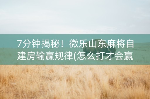 7分钟揭秘！微乐山东麻将自建房输赢规律(怎么打才会赢)
