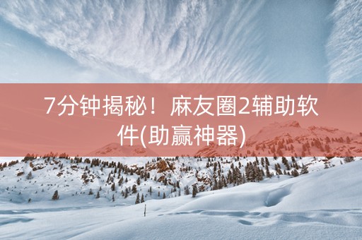7分钟揭秘！麻友圈2辅助软件(助赢神器)