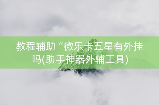 教程辅助“微乐卡五星有外挂吗(助手神器外辅工具)