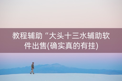 教程辅助“大头十三水辅助软件出售(确实真的有挂)