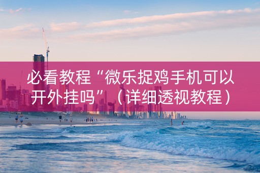 必看教程“微乐捉鸡手机可以开外挂吗”（详细透视教程）-哔哩哔哩