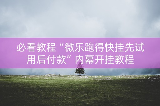 必看教程“微乐跑得快挂先试用后付款”内幕开挂教程
