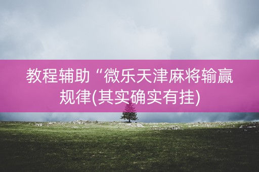教程辅助“微乐天津麻将输赢规律(其实确实有挂)